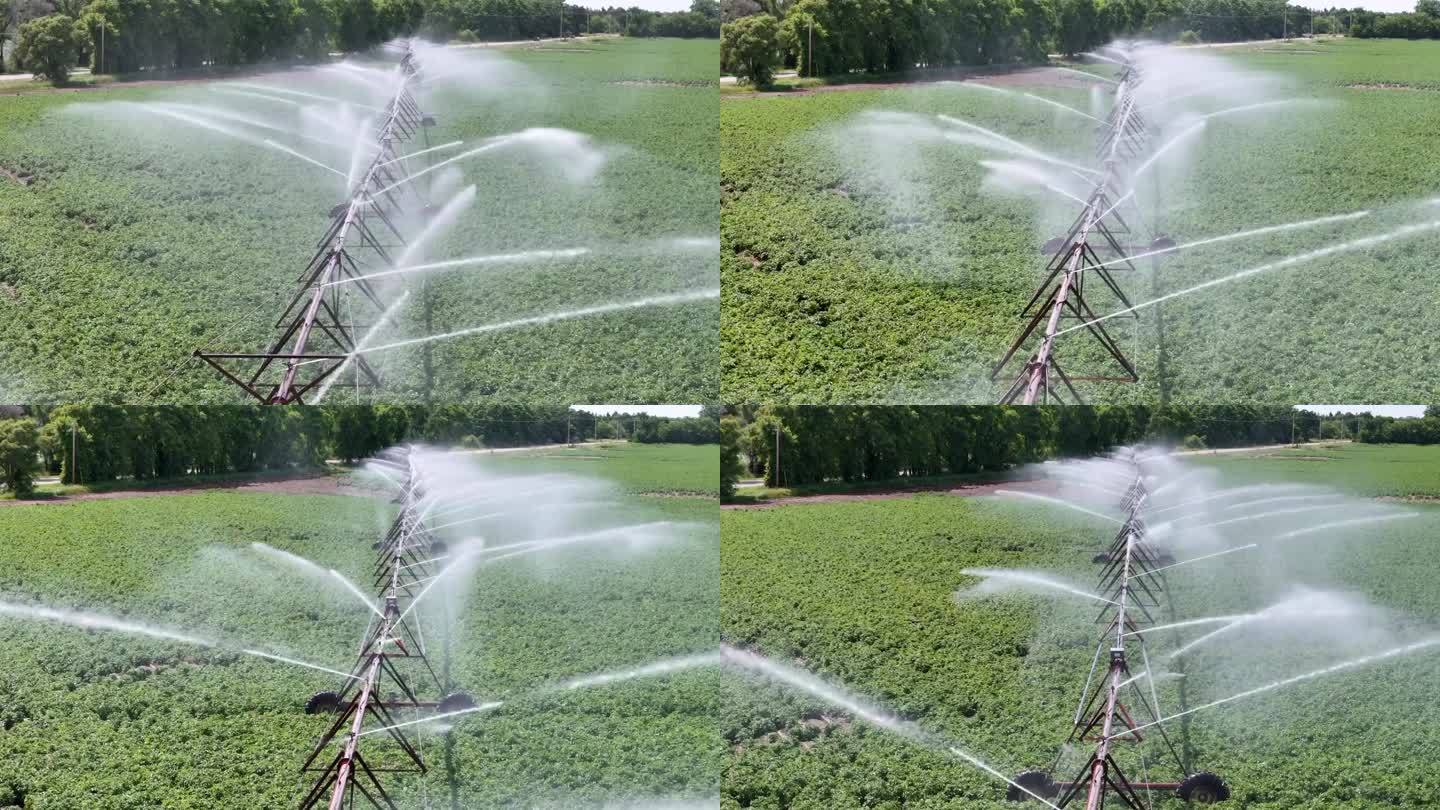 威斯康辛州中部的一片農田正在用灑水系統(tǒng)進行灌溉。