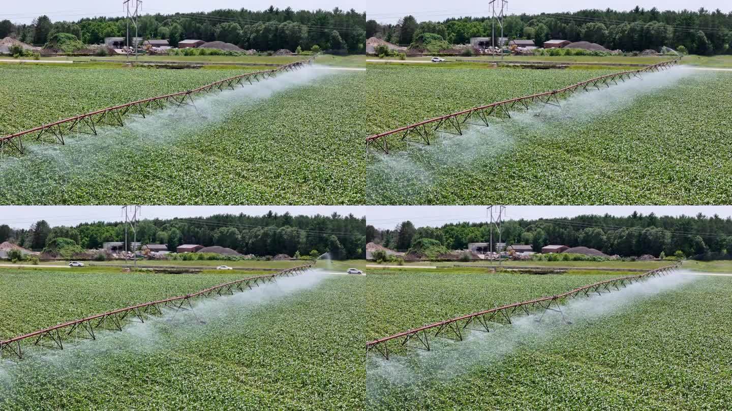 威斯康辛州中部的一片農田正在用灑水系統(tǒng)進行灌溉。